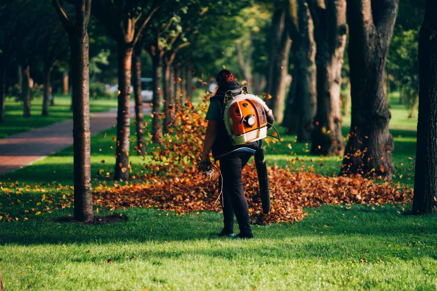 Professional Tree Service in Murfreesboro, NC